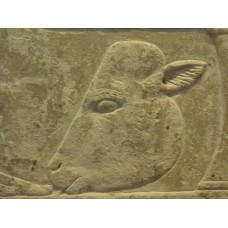 Cow head on the Stela of Sirenenutet